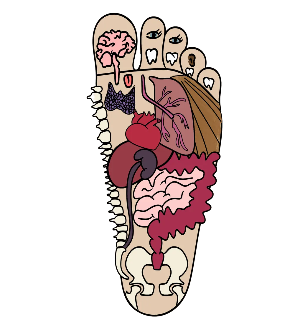 Illustrated foot zone map